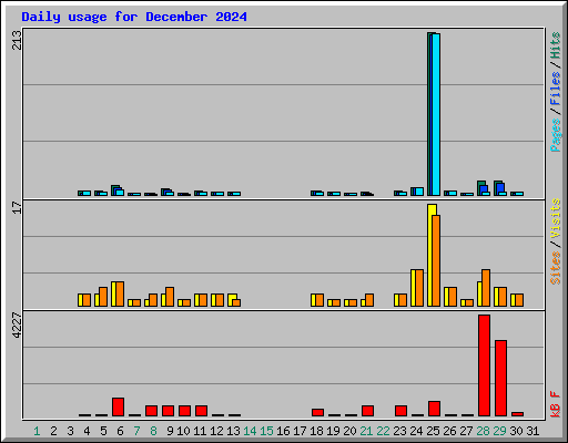 Daily usage for December 2024