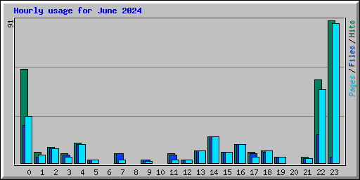 Hourly usage for June 2024