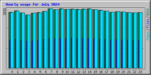 Hourly usage for July 2024