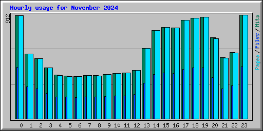 Hourly usage for November 2024