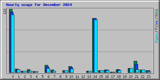 Hourly usage for December 2024