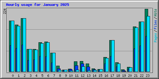 Hourly usage for January 2025